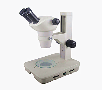 15881261138176512.png 15881261138176512.png